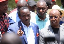 List of Wiper MPs who defied Kalonzo on Rigathi’s Impeachment