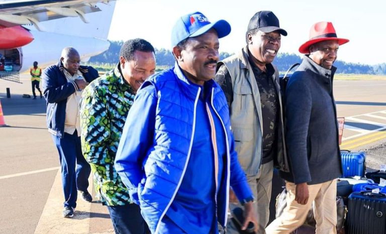 Waititu: Kalonzo will make a good President in 2027