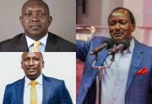 Oscar Sudi, Senator Cheruiyot hit out at Kalonzo over Livestock Vaccination
