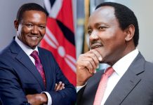 New twist as Alfred Mutua defends Kalonzo