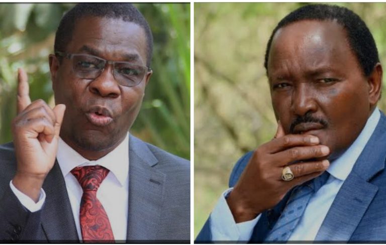 Leave Us Alone! CS Opiyo Wandayi Tells off Kalonzo Musyoka