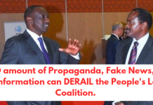 Kalonzo Speaks on joining Ruto’s Government