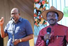 Aden Duale begs Kalonzo to join broadbased government