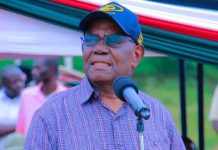 David Musila tells off Kalonzo Musyoka over Statehouse visit