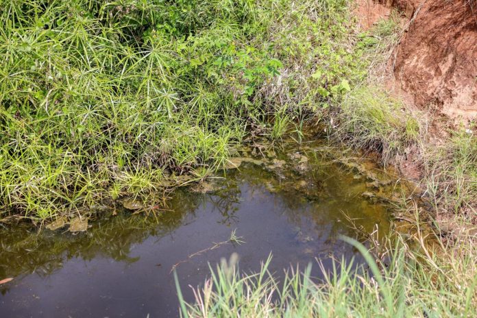 Thange River Pollution