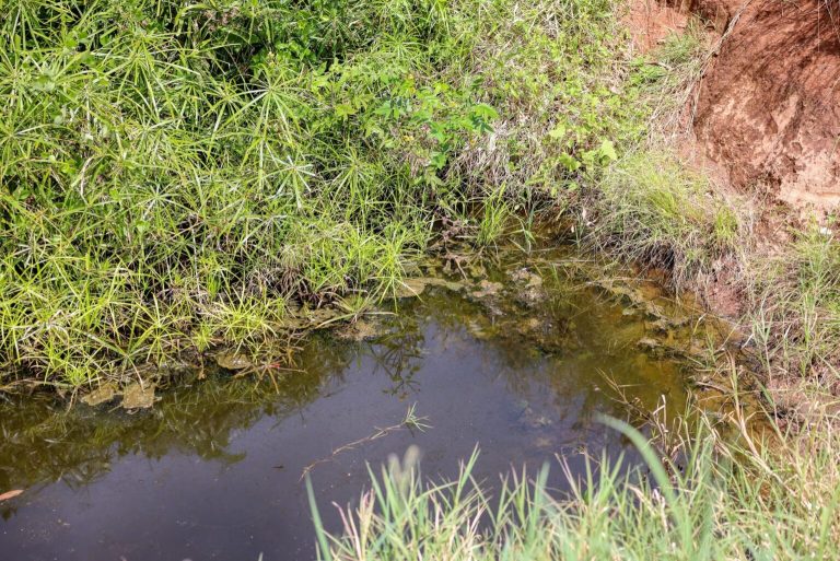 Thange Oil Spill Victims in Limbo as Kenya Pipeline Appeals Compensation and Faces Privatization