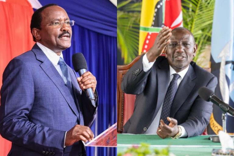 ‘Shoot Ruto’: Kalonzo orders Gen Zs