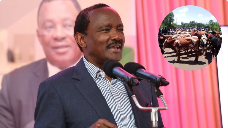 “It’s My Own Secret”: Kalonzo Musyoka Teases Mystery Behind 100 Cows delivered to Raila’s family