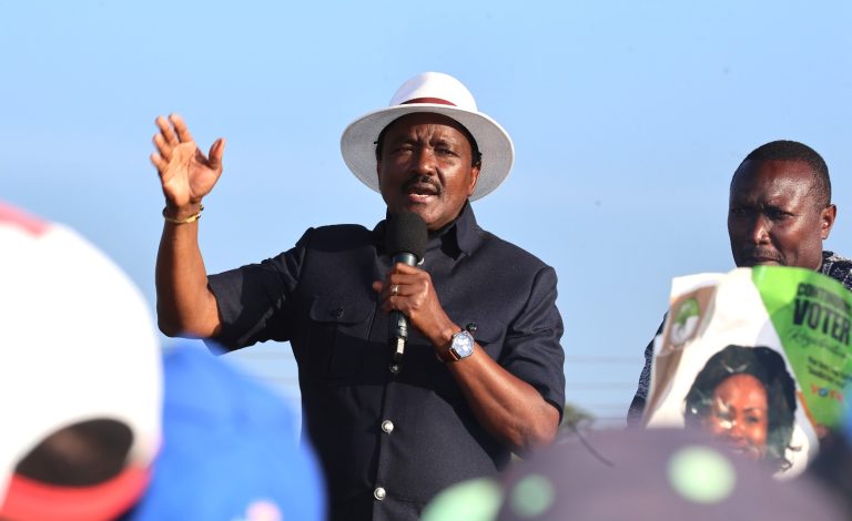Kalonzo Warns ODM Against Striking Deal with UDA